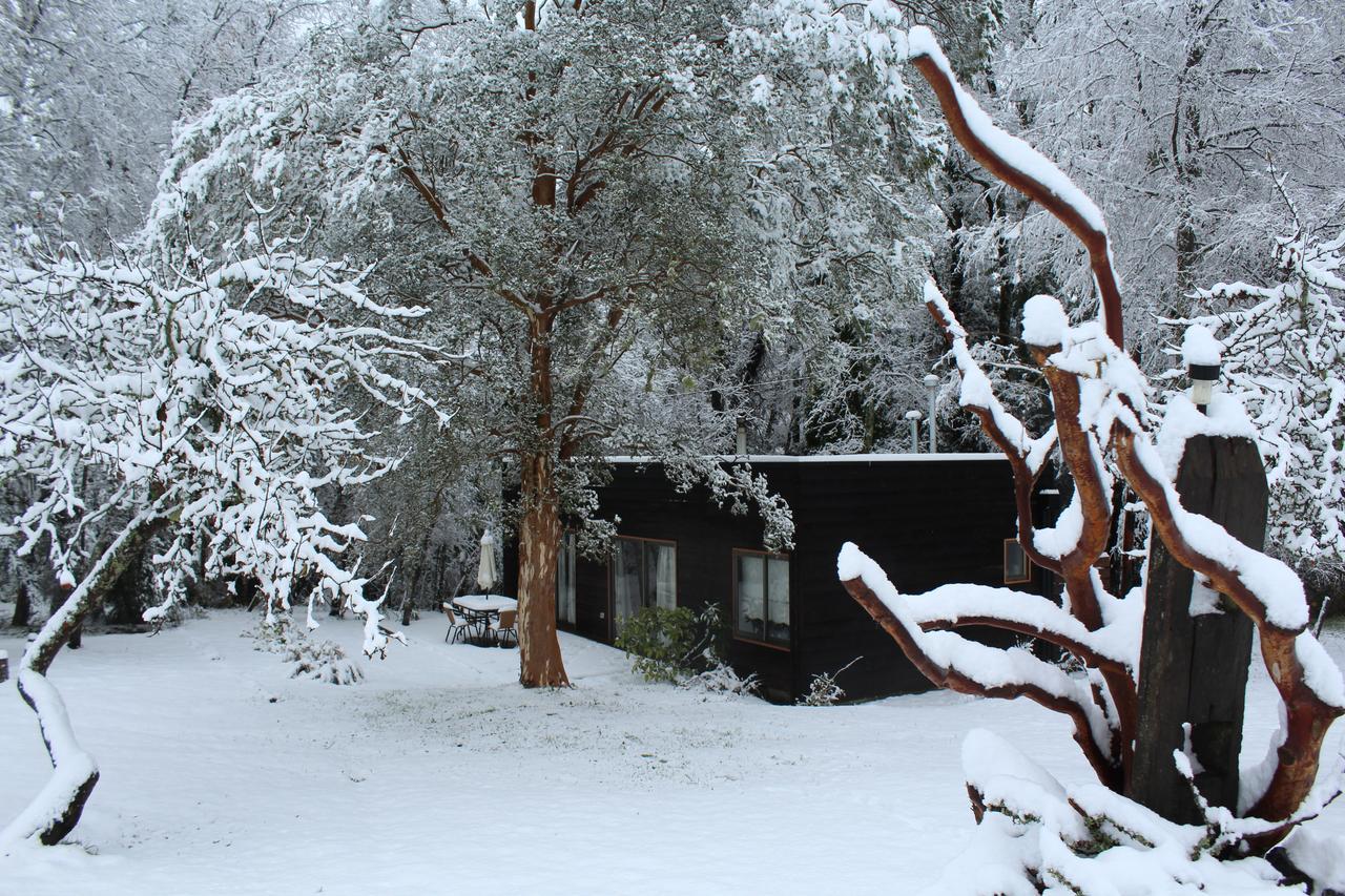 Cabanas Am Berg 普孔 外观 照片